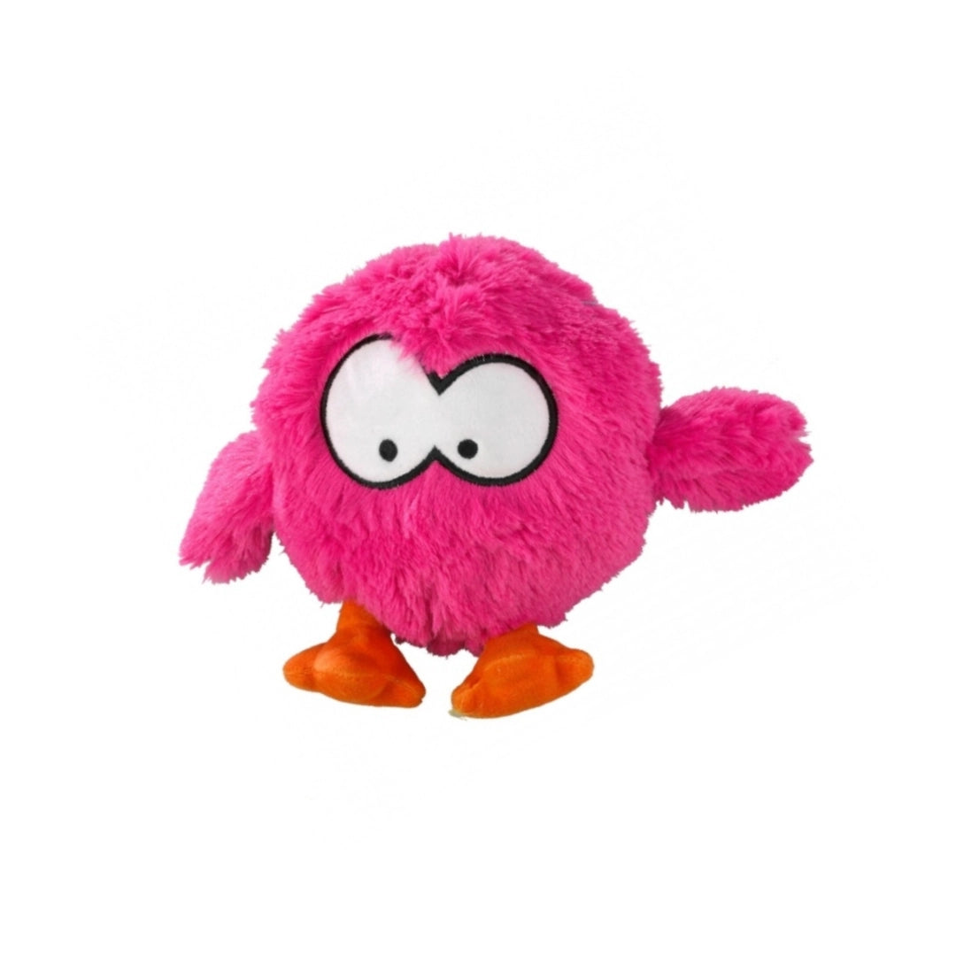 Coockoo Bouncy
