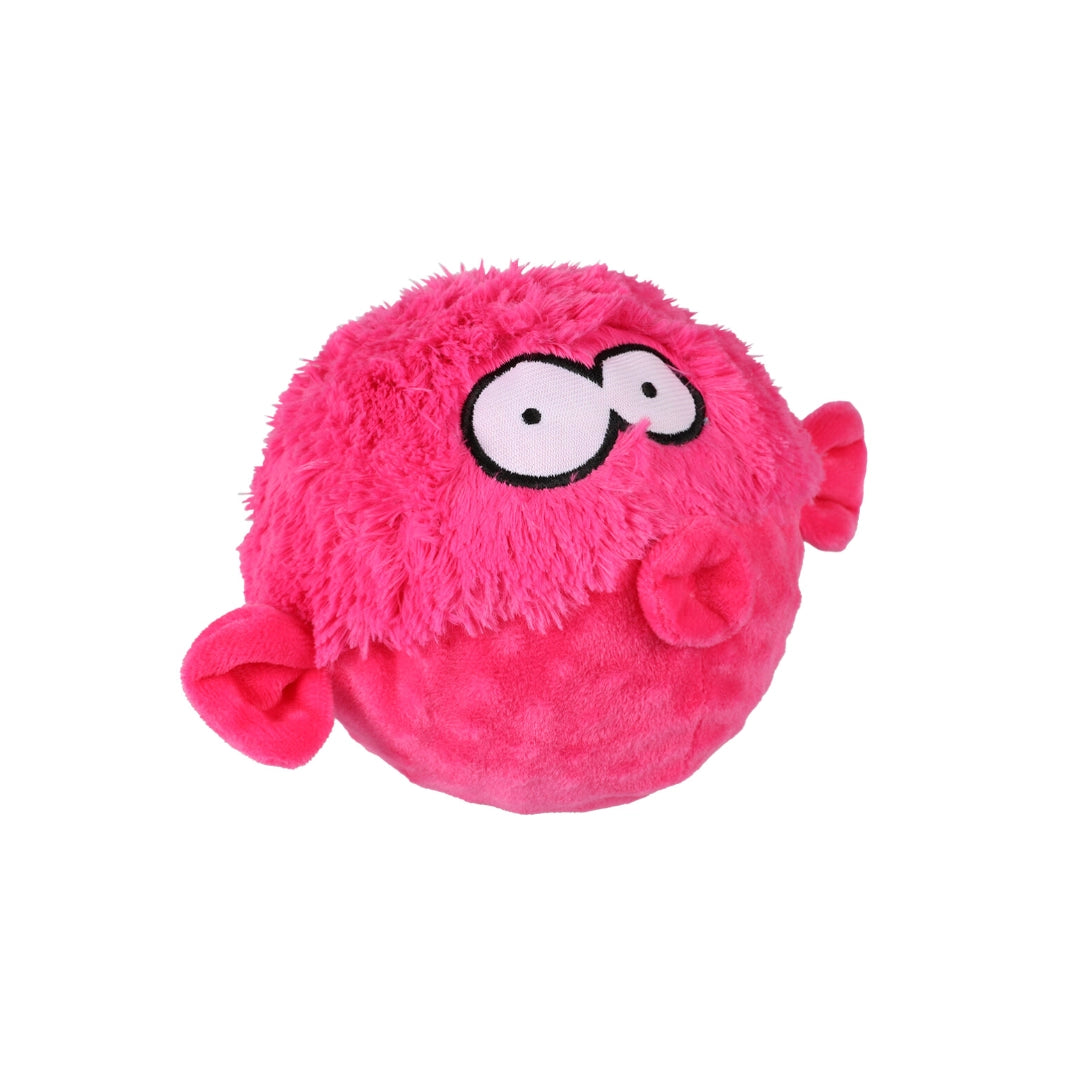 Coockoo Gary