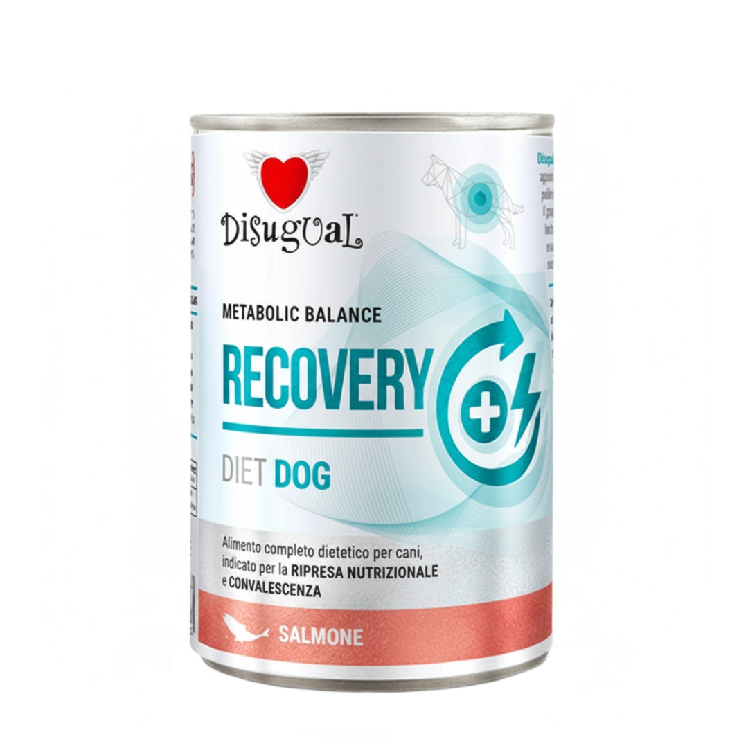 Disugual Dieta Recuperación Salmón 400g