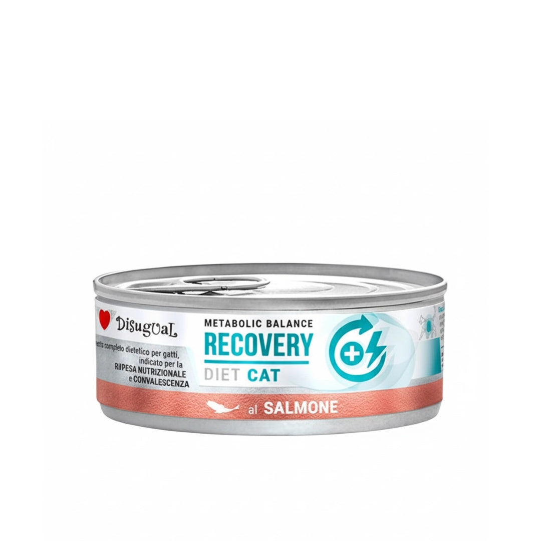 Disugual Dieta Recuperación Salmón 85gr