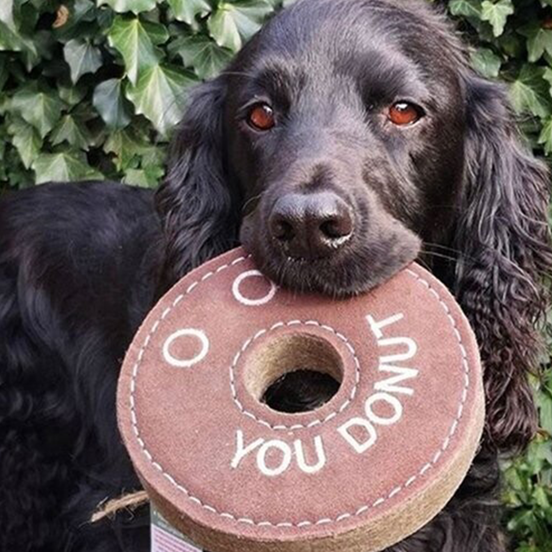 Eco Dog Toys Derrick el Donut