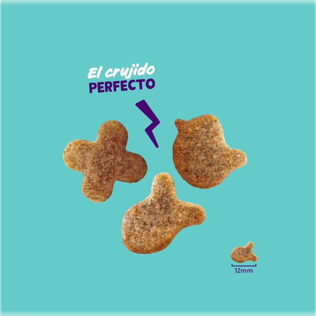Edgard & Cooper Galletitas de Pollo 50gr