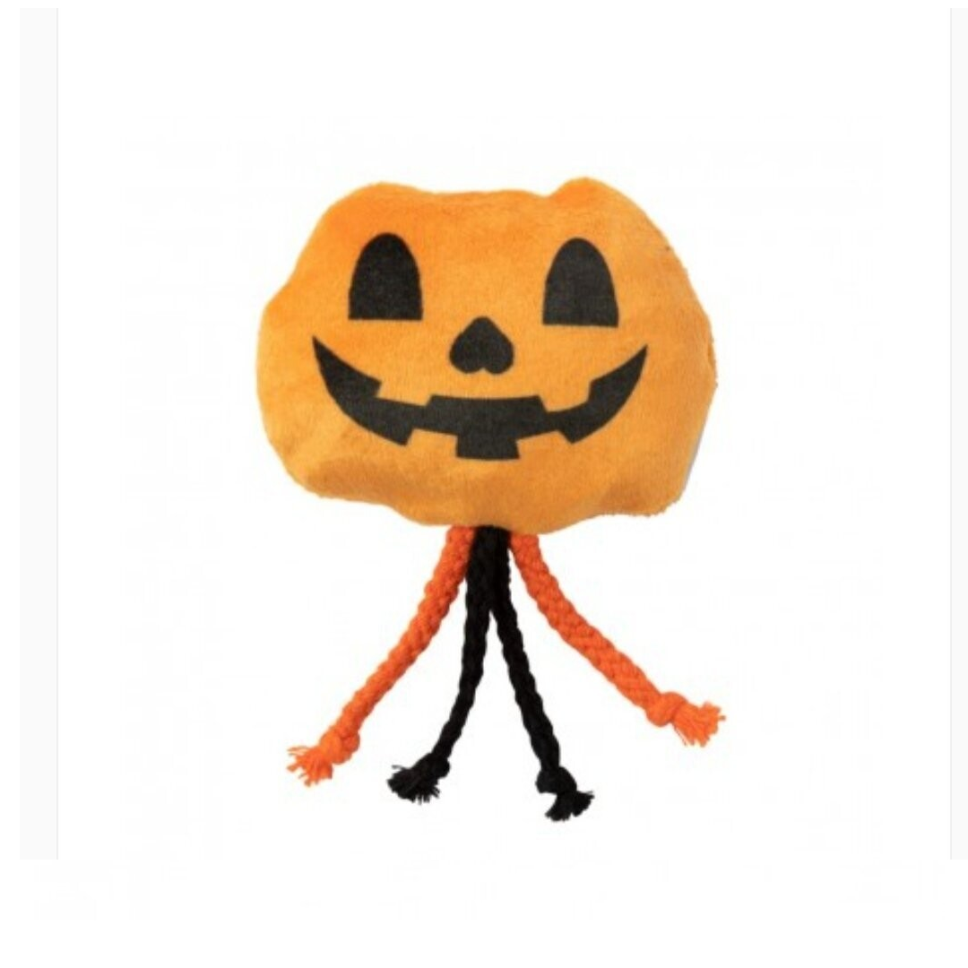 FuzzYard Cat Percy Pumpkin