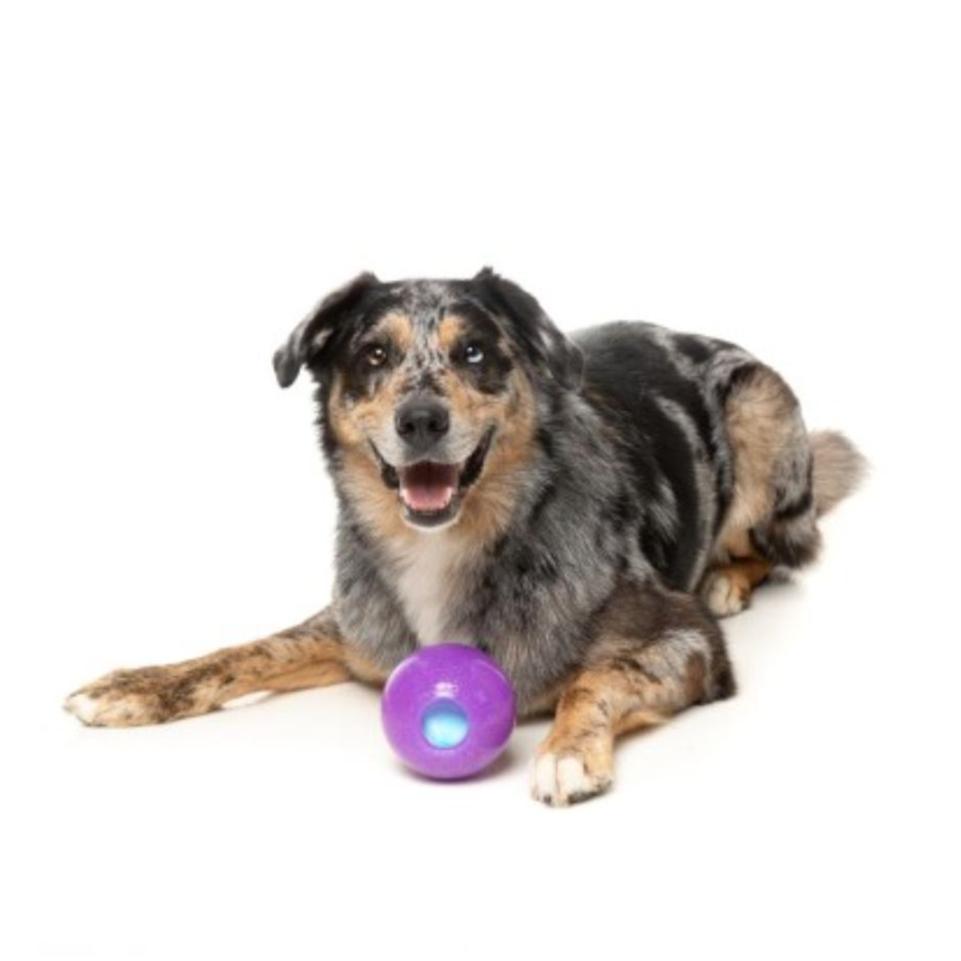 FuzzYard Truth Tellin' Treat Ball