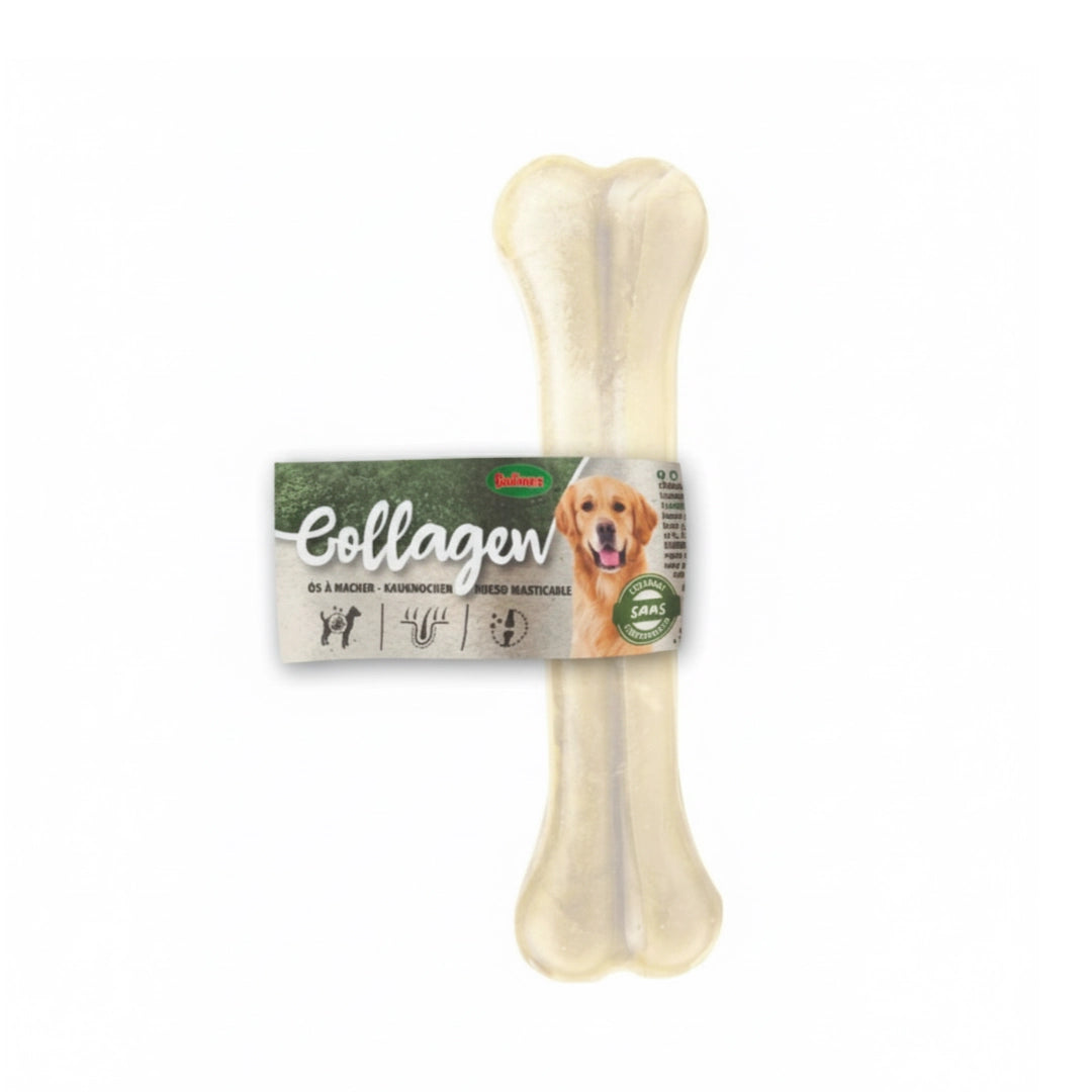 Hueso de Colágeno