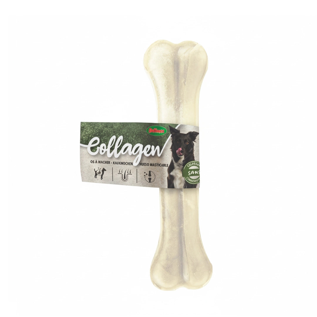 Hueso de Colágeno