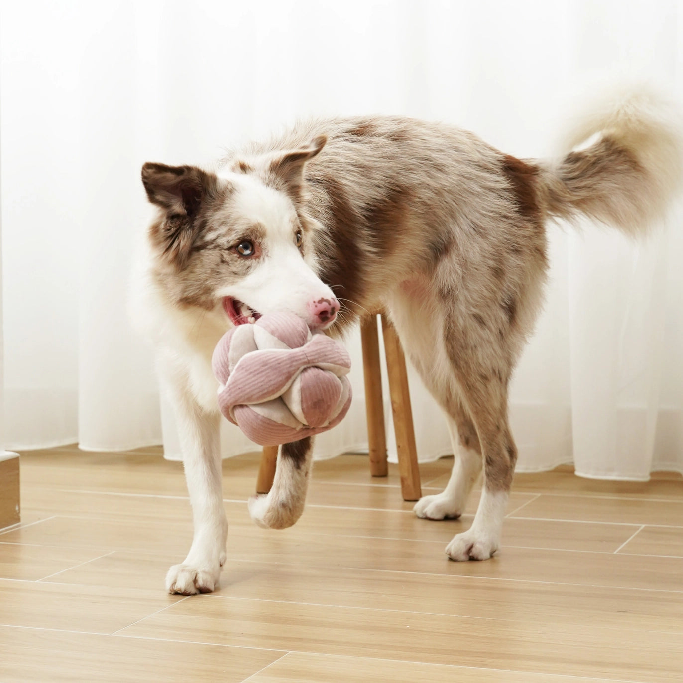 Lambwolf MONTI Juguete de Enriquecimiento (Silencioso)