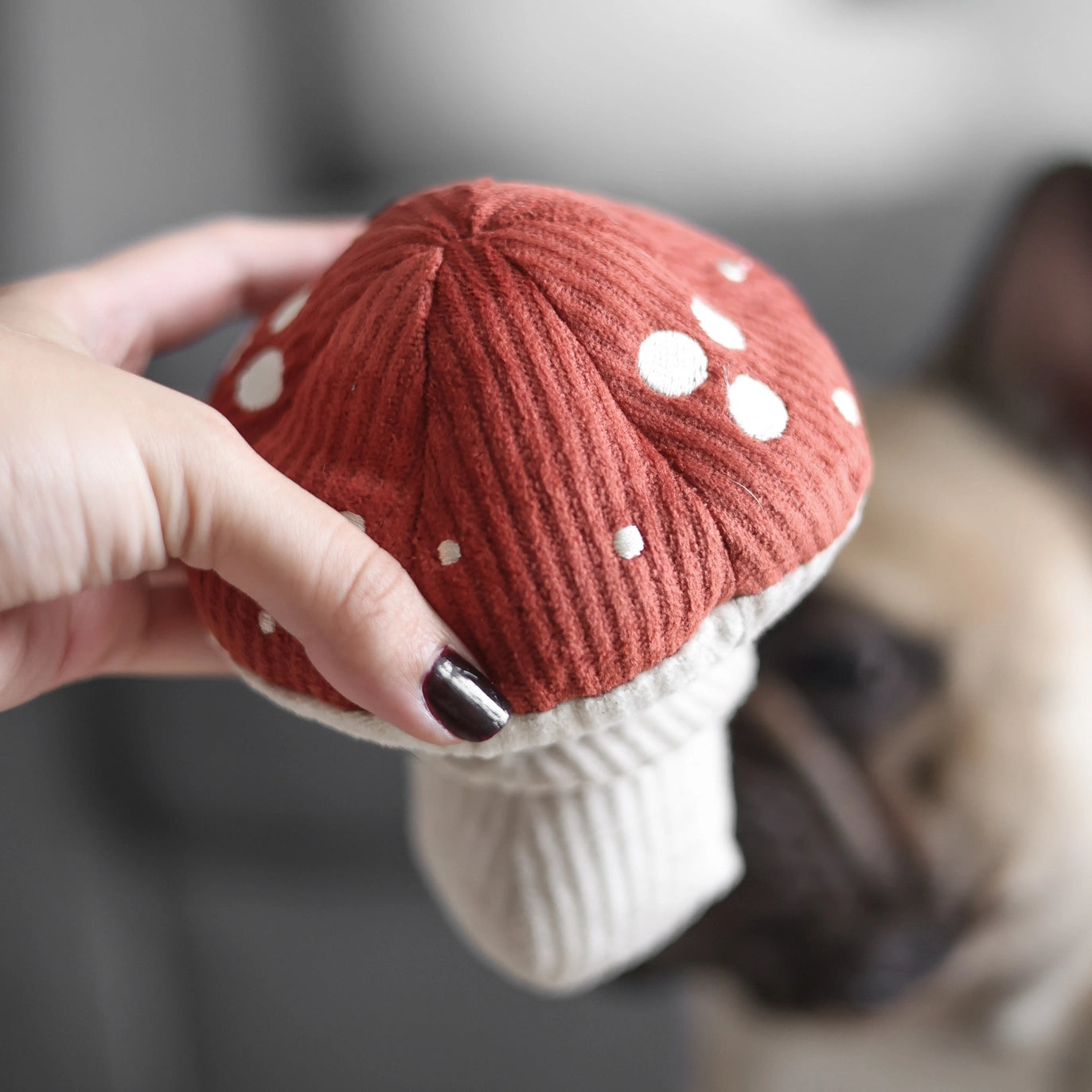Lambwolf SHROOM Juguete de Enriquecimiento