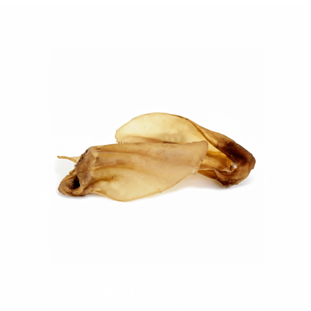 Oreja de Buey sin Pelo
