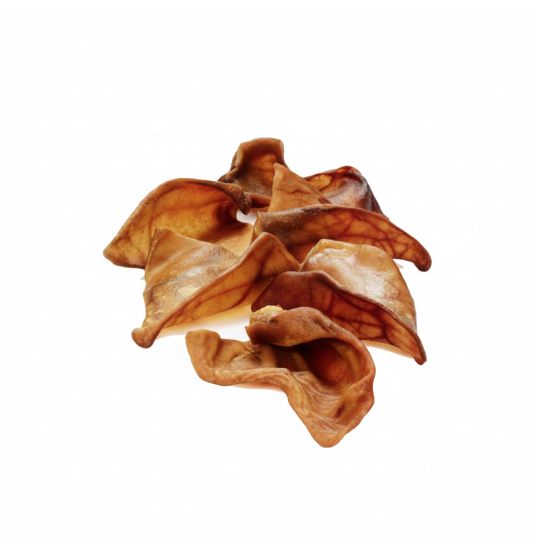 Oreja de Cerdo Grande