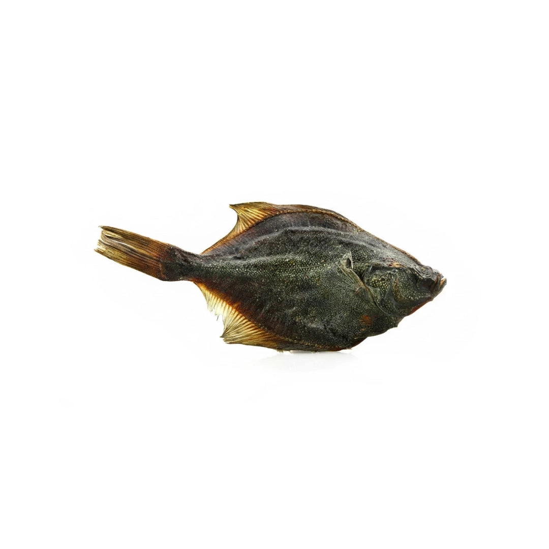 Platija Deshidratada