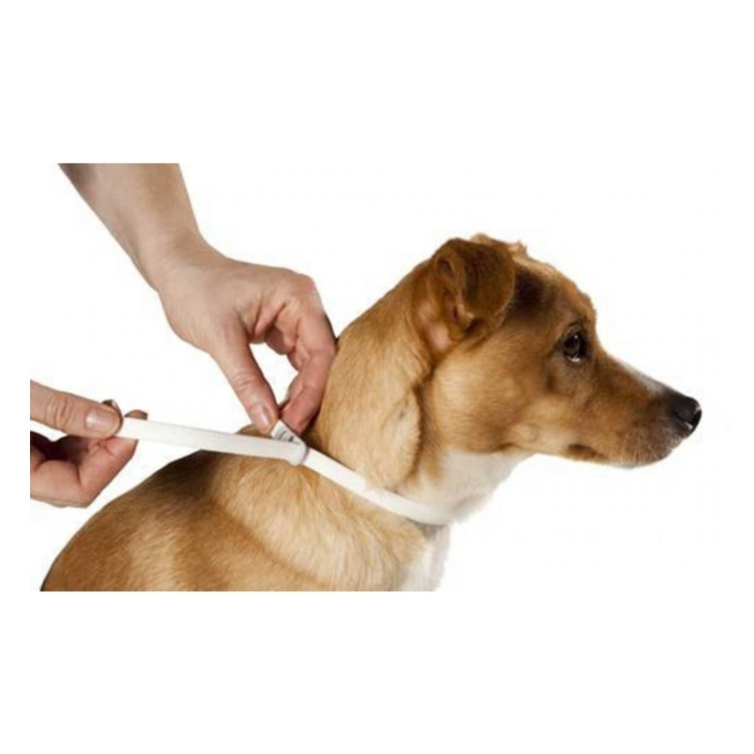 Scalibor Collar Repelente