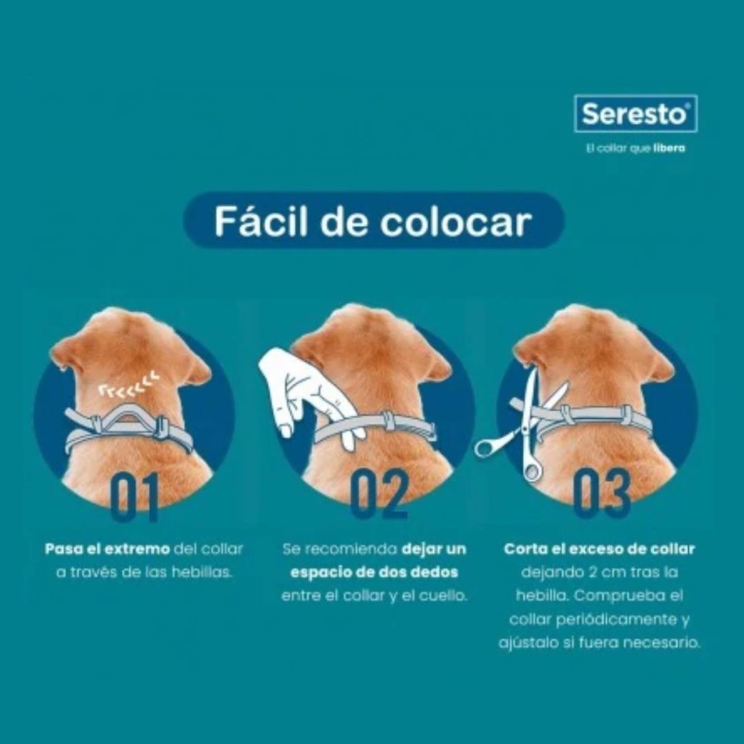 Seresto Control Pulgas y Garrapatas