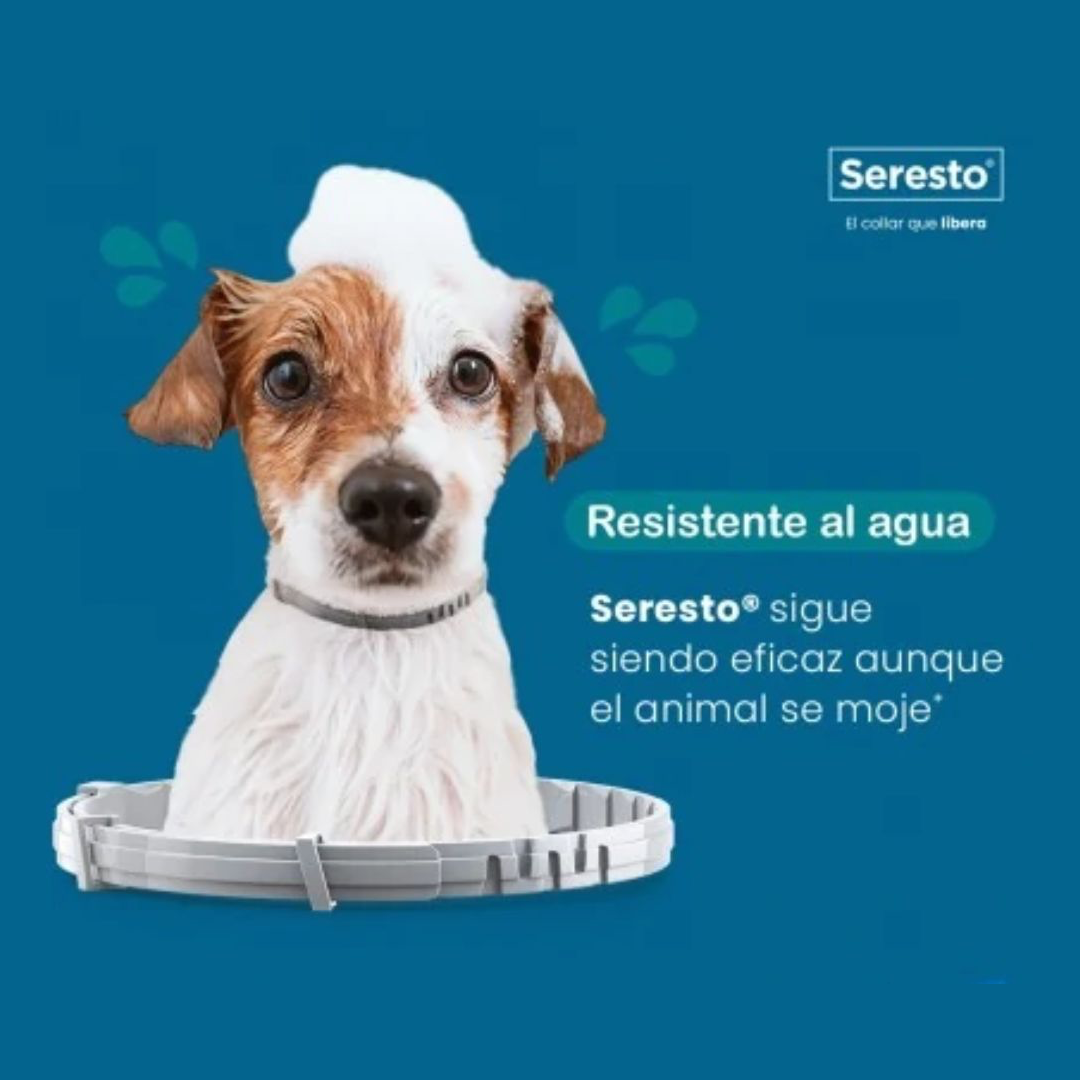 Seresto Control Pulgas y Garrapatas