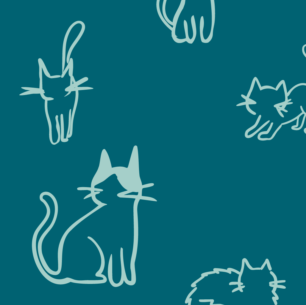 Novedades Gato