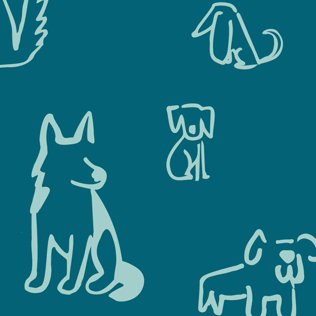 Novedades Perro