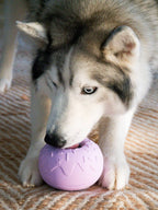 Juguete de ocupación para perro - Yoomy Donut - Lavanda