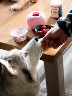 Juguete de ocupación para perro - Yoomy Donut - Rosa