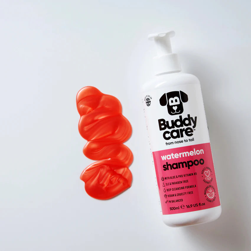 Buddy Care Champú Sandía 500ml