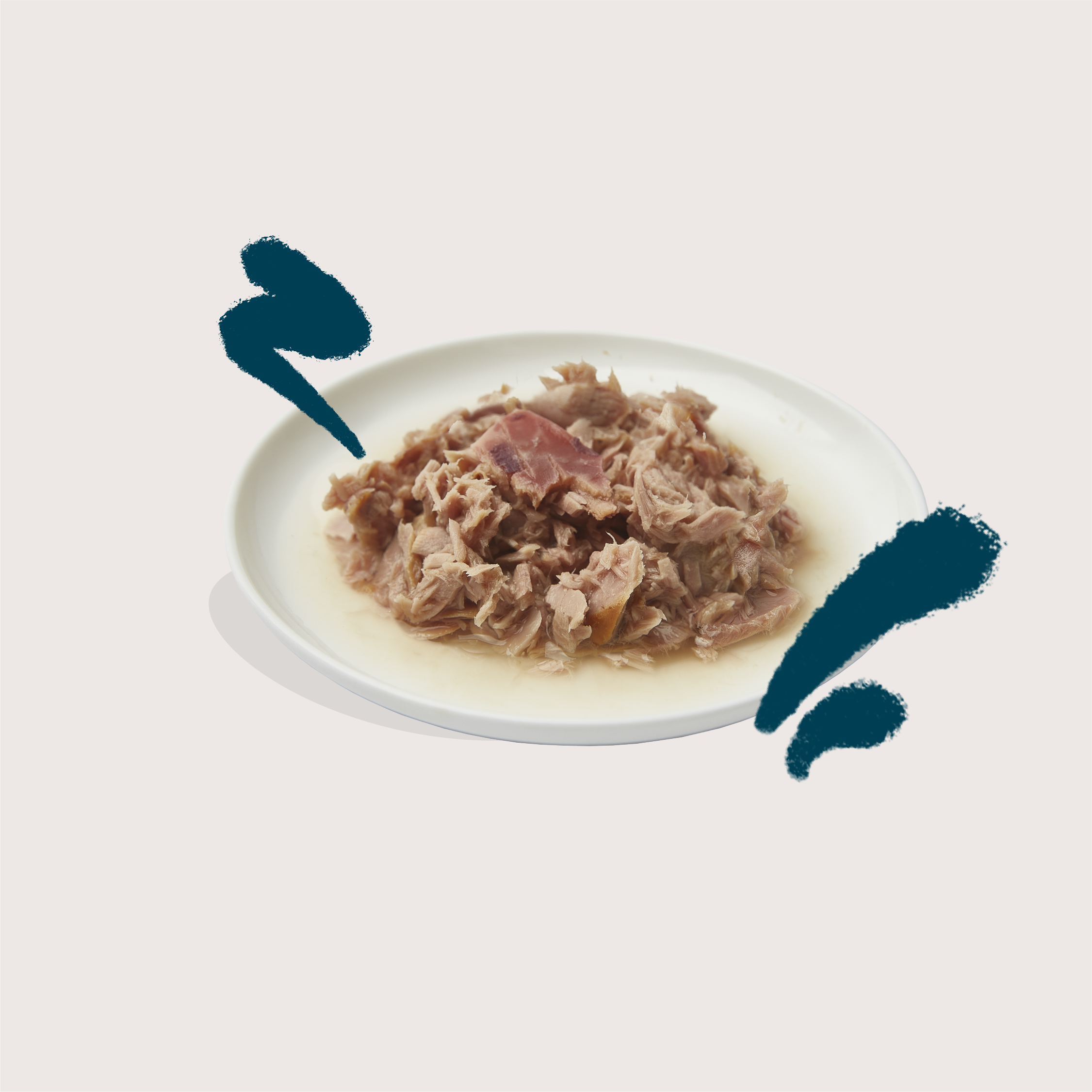 Edgard & Cooper Filetes de Atún y Calamar 70gr