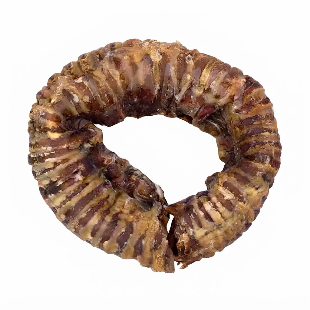 Donut de Traquea de Vacuno