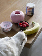 Juguete de ocupación para perro - Yoomy Donut - Rosa