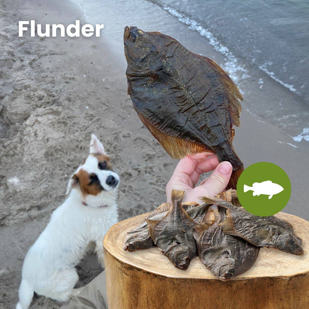 Platija natural sin conservantes para perros