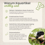 Platija natural sin conservantes para perros