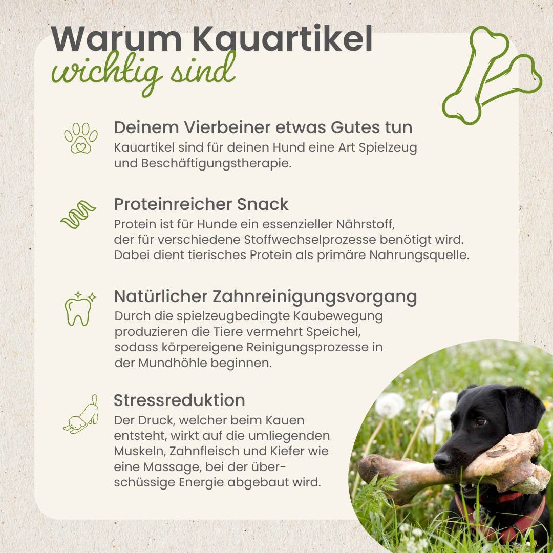 Platija natural sin conservantes para perros