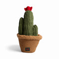 B&B Peluche Interactivo Pawtanic Garden - Cactus