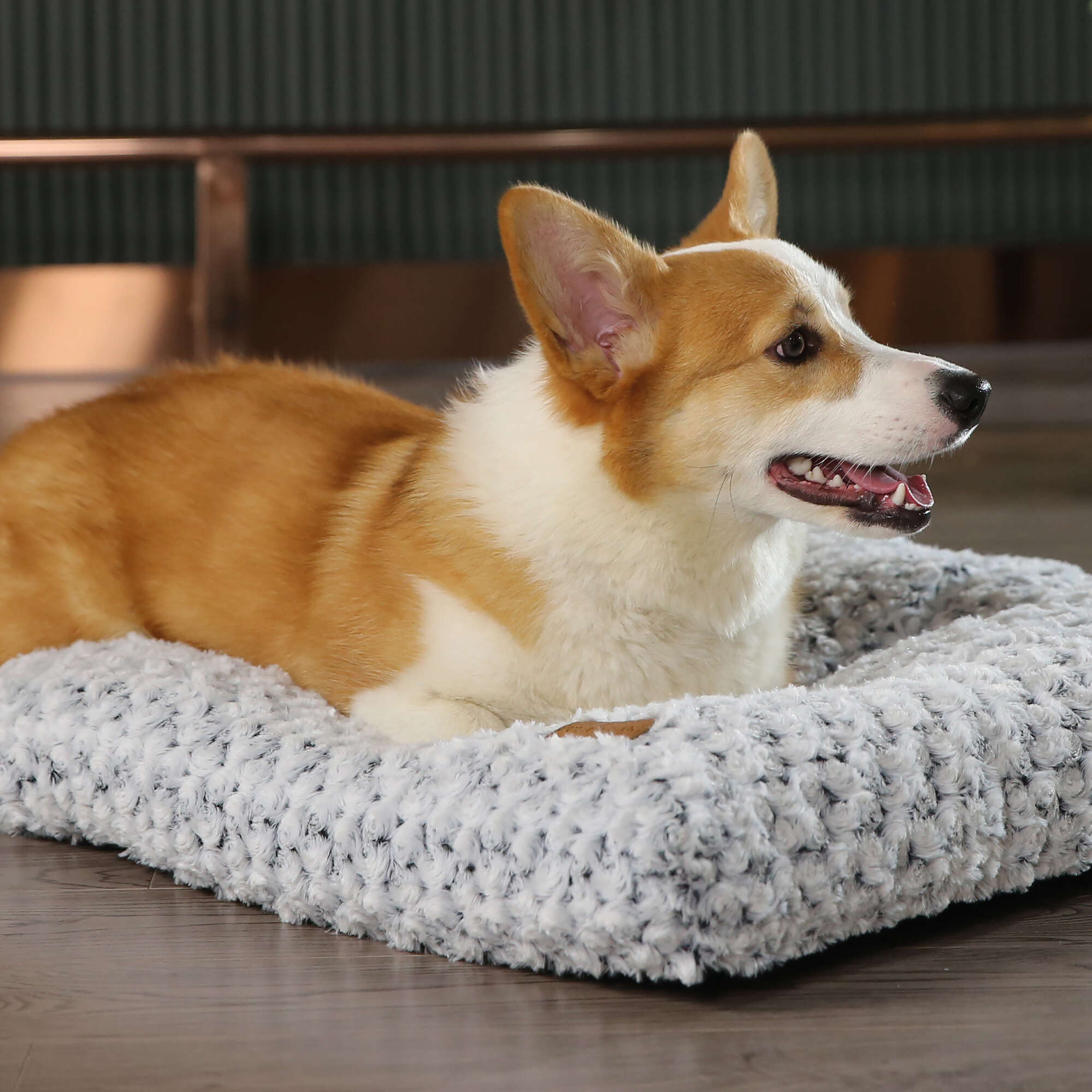 Premier Dog Cama Rosekiss