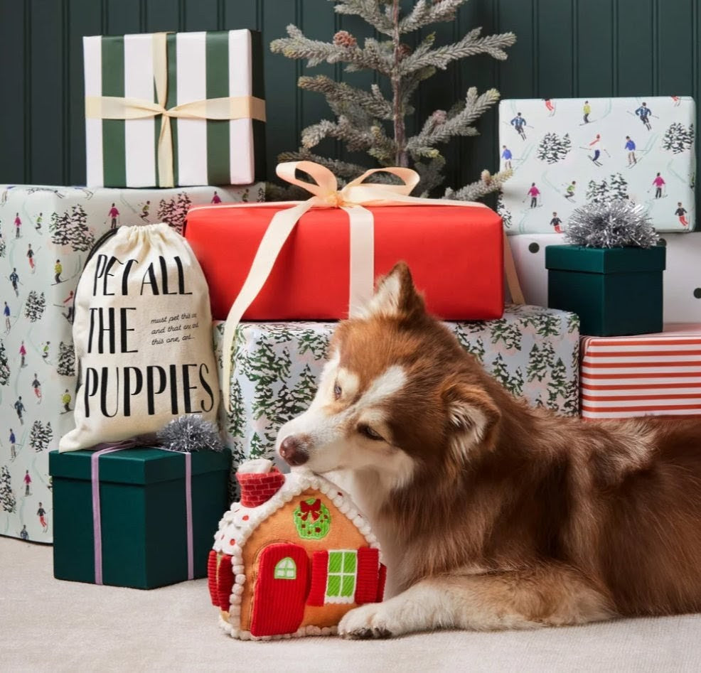 Foggy Dog Casita Navidad Interactiva