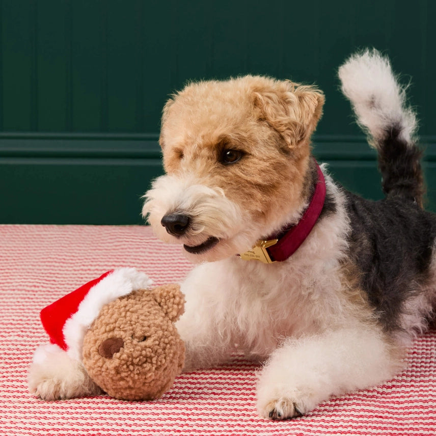 Foggy Dog Peluche Interactivo Osito Navidad con Pelota