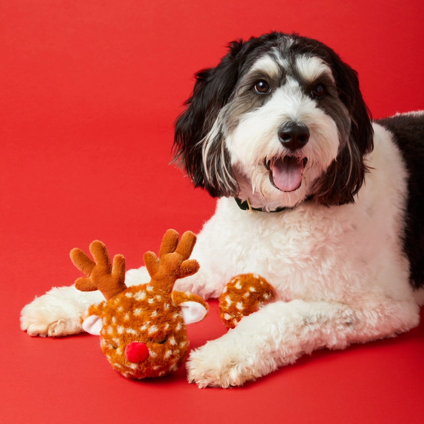 Foggy Dog Peluche Interactivo Reno con Pelota