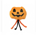 FuzzYard Cat Percy Pumpkin