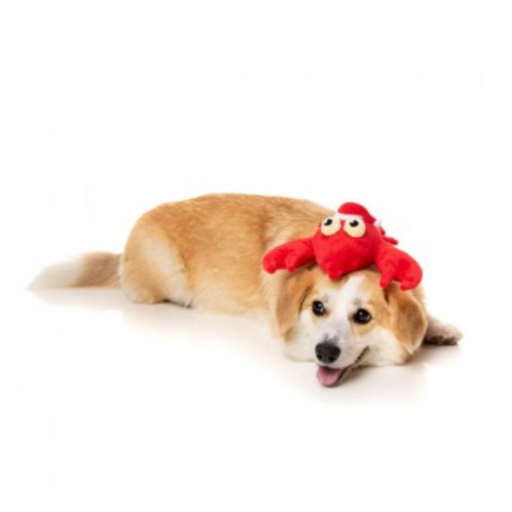 FuzzYard Xmas Lobbie Williams Dog