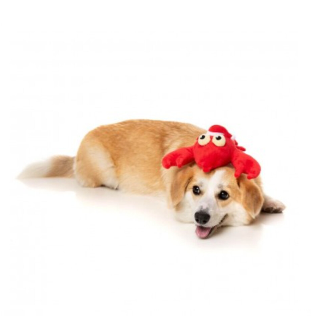 FuzzYard Xmas Lobbie Williams Dog