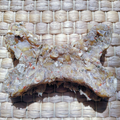 Hueso Ternera con Vegetales Glucosamina y Condritina
