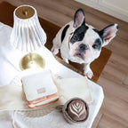 Lambwolf Juguete de Enriquecimiento Sandwich