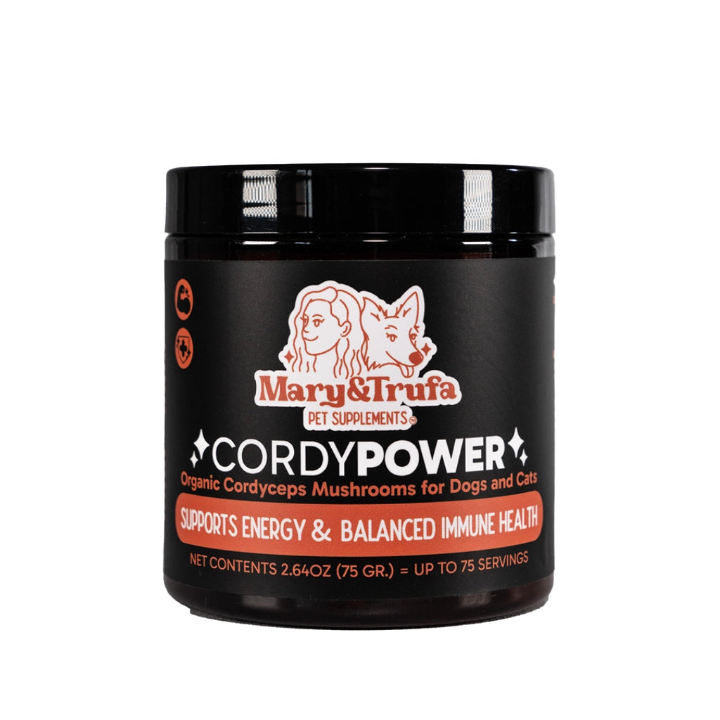 Mary & Trufa Reishi Longevity