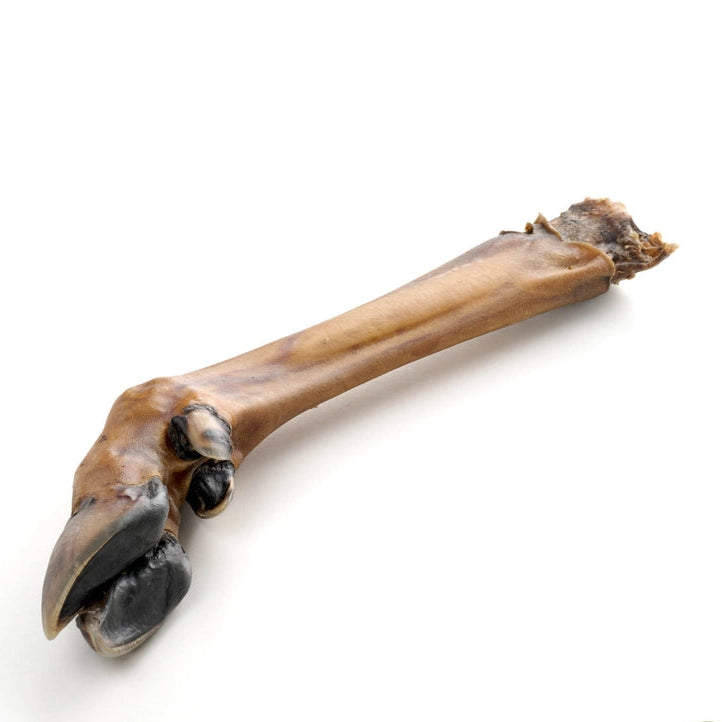 Pierna de Ciervo Maxi