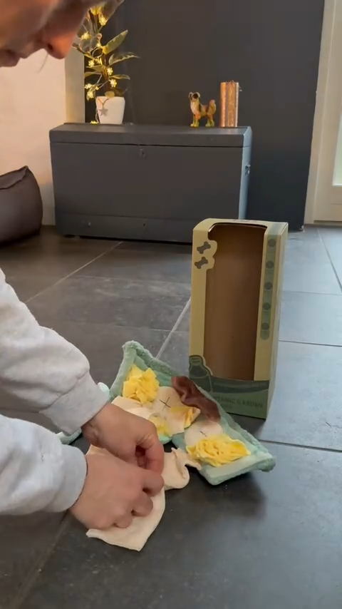 B&B Peluche Interactivo Pawtanic Garden - Cactus