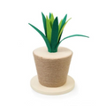 LEO PETS Rascador Planta Agave