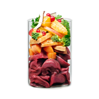 Terra Canis Winter Symphony - Ganso con Batata, Frutas de Invierno y Coco