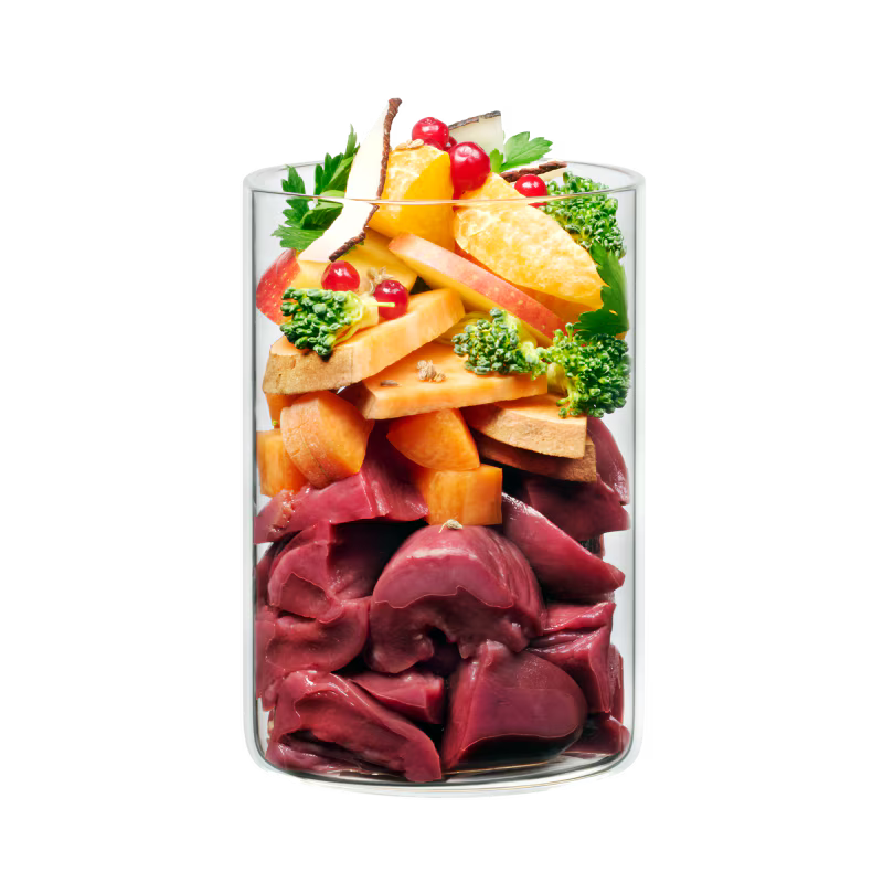 Terra Canis Winter Symphony - Ganso con Batata, Frutas de Invierno y Coco