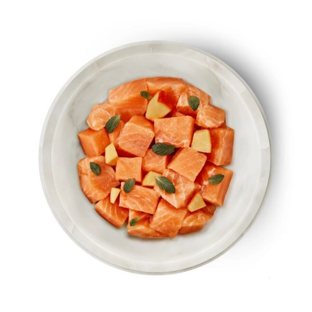 Terra Felis Salmón Lata 85gr