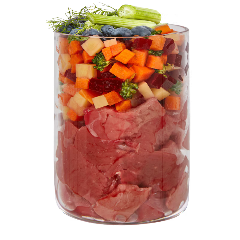 Terra Canis Ragou Buey con Brócoli Arándanos Azules y Salvia 385gr