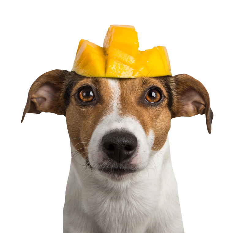 Tippy Taps Mango Deshidratada 100gr