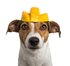 Tippy Taps Mango Deshidratada 100gr