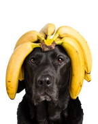 Tippy Taps Plátano Deshidratado 100gr